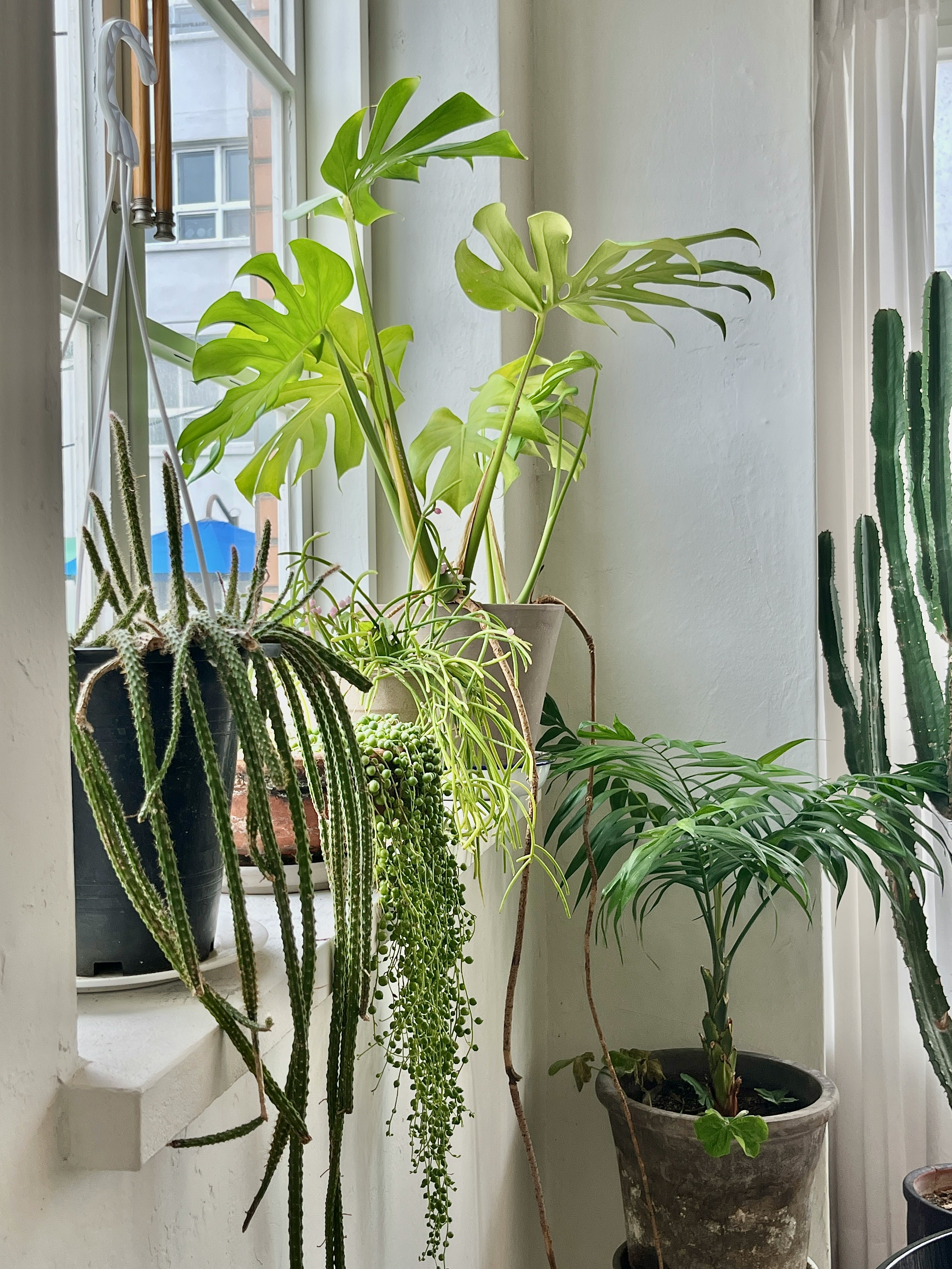 Dominique White in session